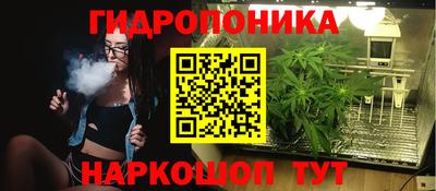 винт Гатчина