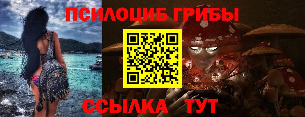 Наро-Фоминск  Псилоцибиновые грибы MAGIC MUSHROOMS  даркнет сайт  Вход с VPN  Псилоцибиновые грибы Psilocybine cubensis 